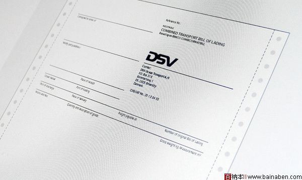 DSV标志及应用