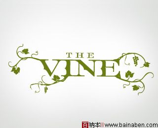 The Vine Identity logo