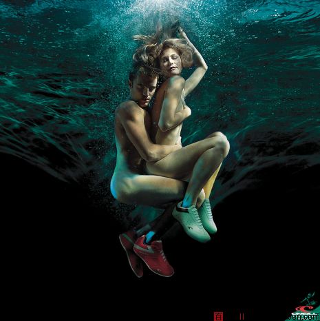 水下摄影师ZENA HOLLOWAY作品欣赏-百衲本视觉