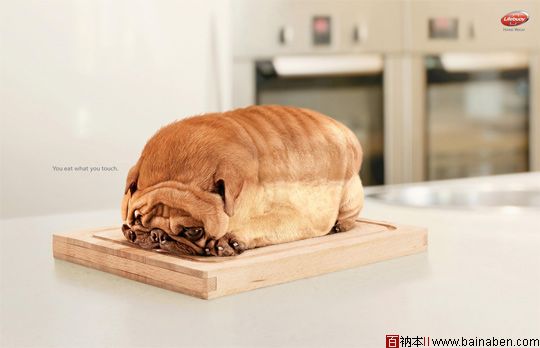 Dog Toast: You eat what you touch